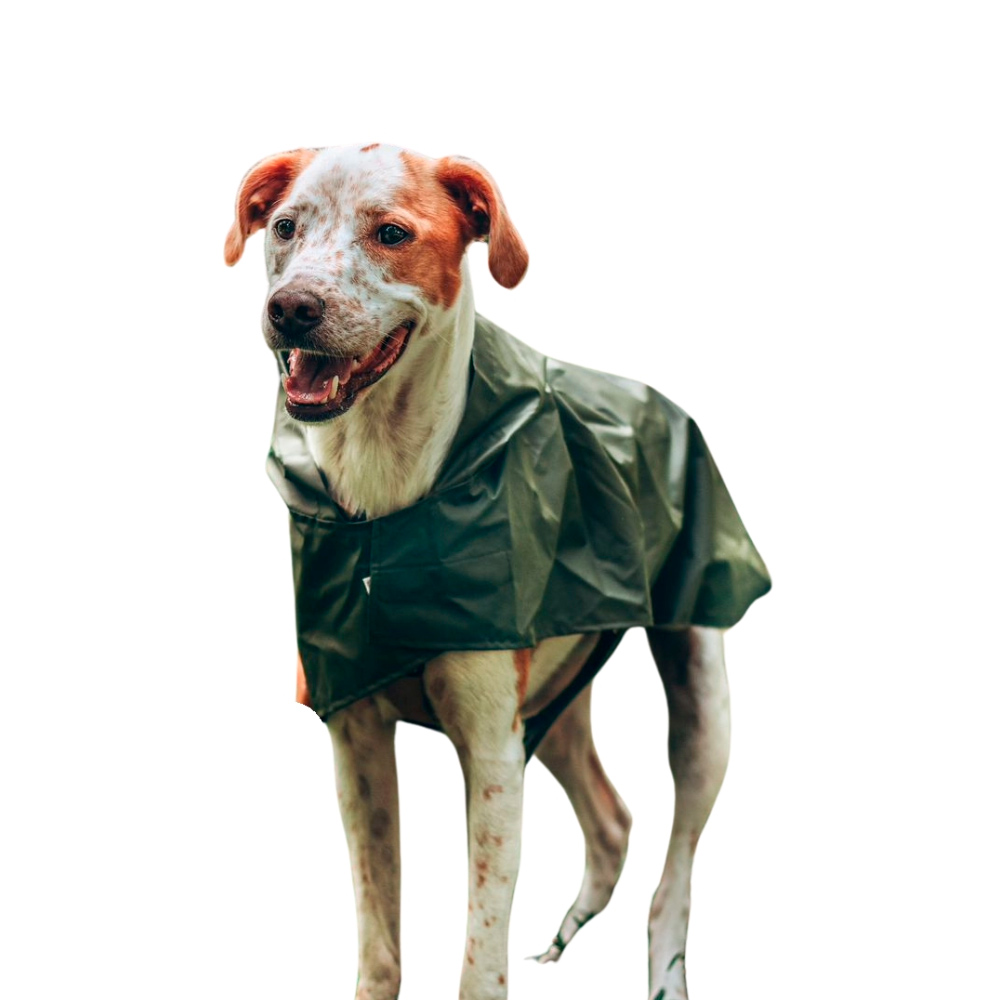 capa de chuva pe msc