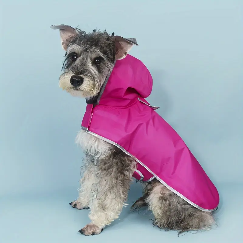 capa de chuva pet femea