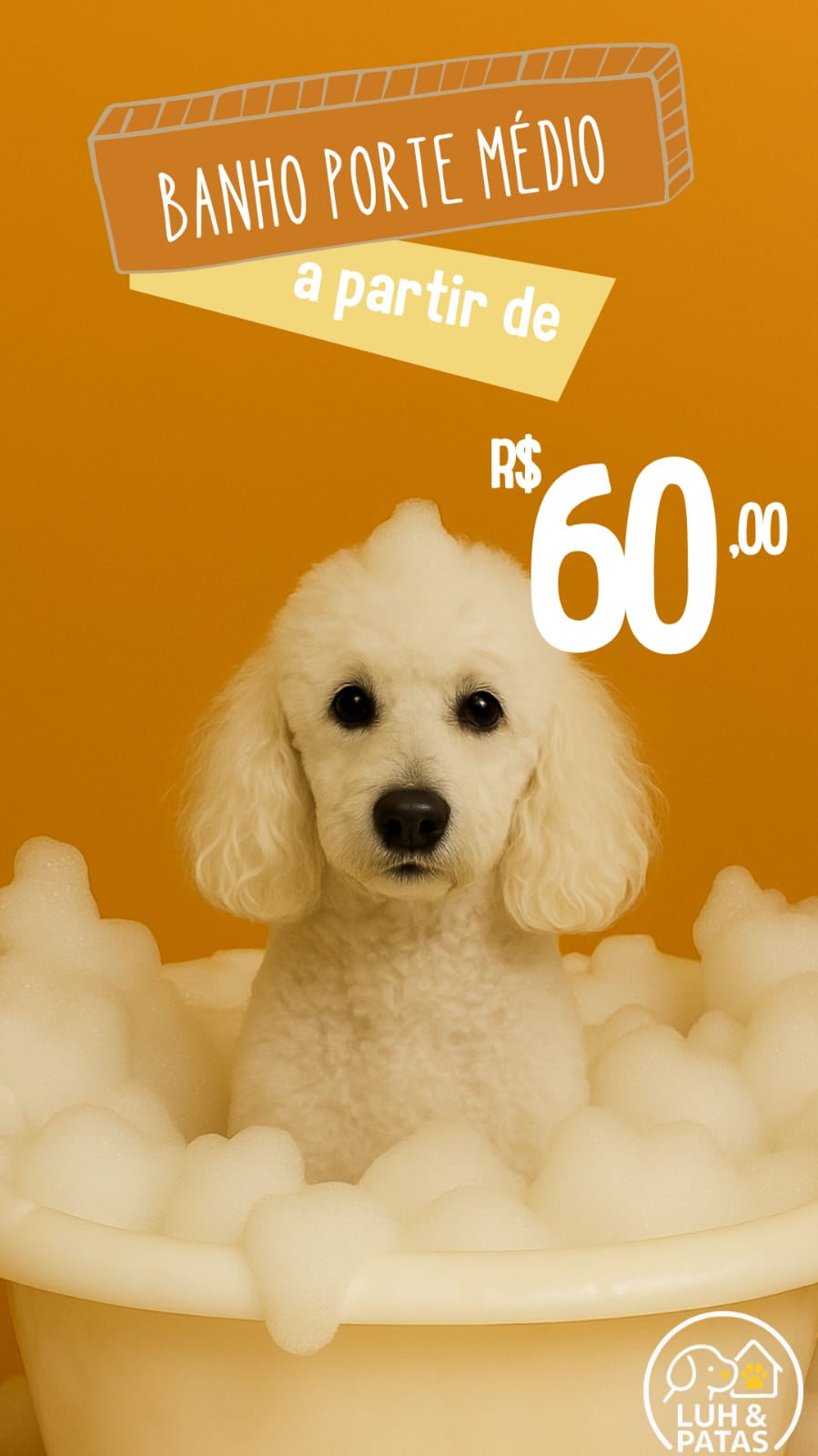 Banho avulso Porte Médio