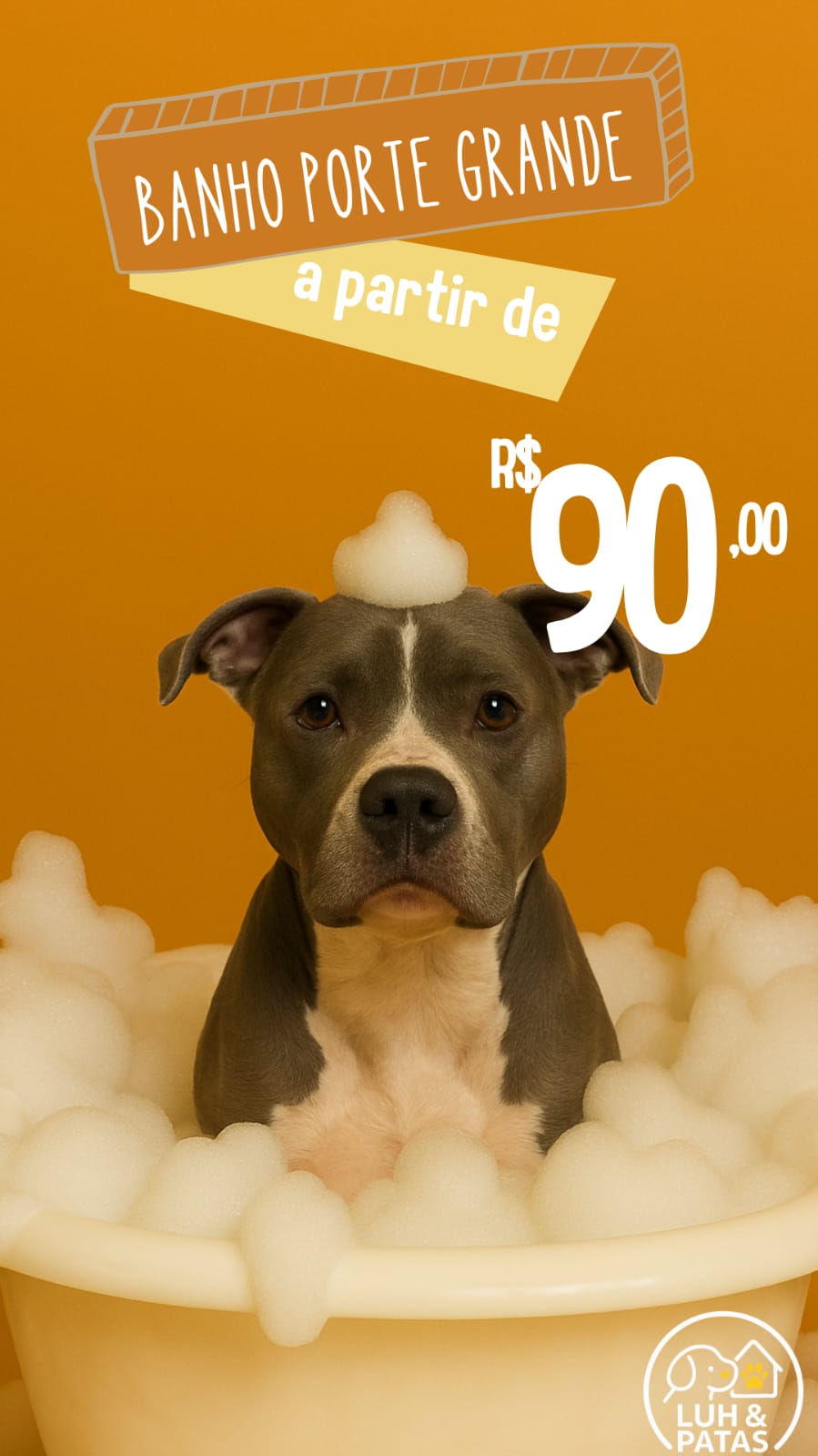 Banho avulso Porte Grande